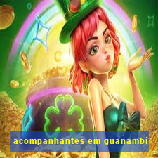 acompanhantes em guanambi